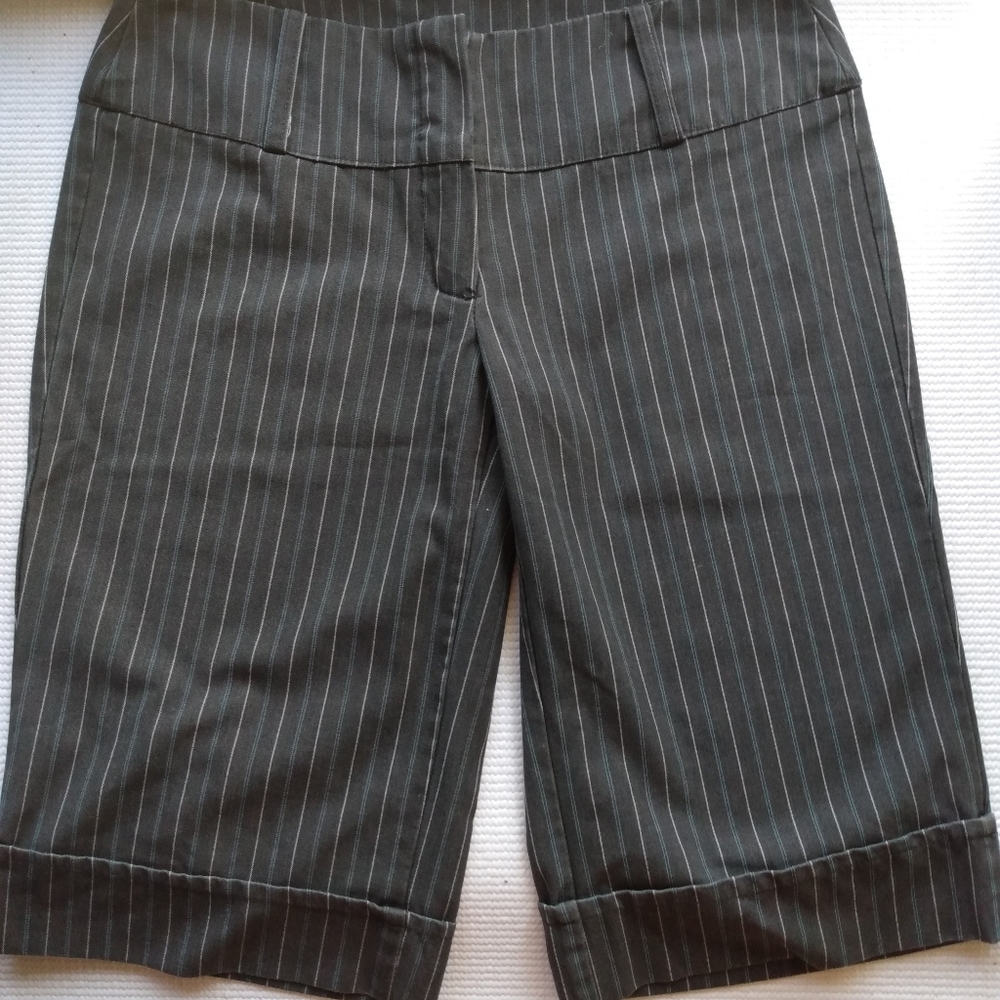 Spring Street Dress Shorts